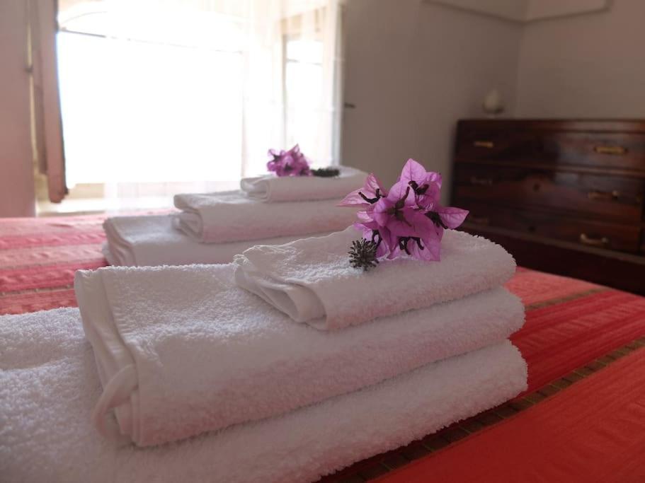 Casa Stella Nell'Aia Villa ชิสแตร์นีโน ภายนอก รูปภาพ