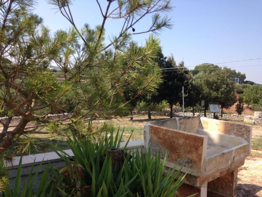 Casa Stella Nell'Aia Villa ชิสแตร์นีโน ภายนอก รูปภาพ